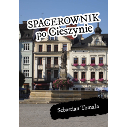 Sebastian Tomala, Spacerownik po Cieszynie