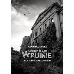 Hannibal Smoke, Górny Śląsk w ruinie. Pałace zniszczone i zagrożone