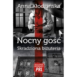 Anna Kłodzińska, Nocny gość. Skradziona biżuteria (t. 14)